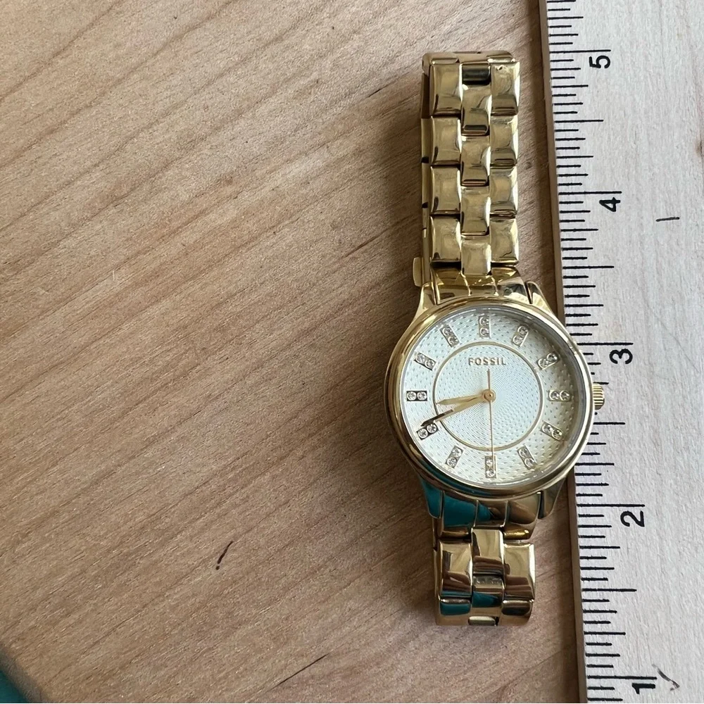Fossil brand model